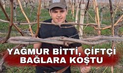 Yağmur bitti, çiftçi bağlara koştu