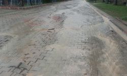 Yağmurla Spil'den gelen molozlar evleri mahvetti