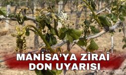 Manisa’ya zirai don uyarısı