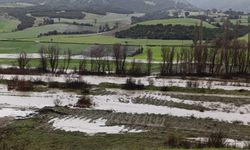 Selendi'de çay ve dereler taştı