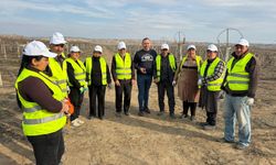 Sarıgöllü ziraat mühendisi Azerbaycan'da bağ budama tekniklerini öğretti