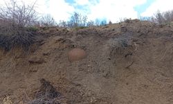 Vatandaşın ihbar ettiği tarihi küp boş çıktı