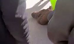 Pompalı tüfekle güpegündüz yaylım ateşi açtı