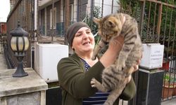 20 yıldır sokak kedilerine annelik yapıyor: "Sadece sevgi istiyorlar"