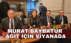 Murat Baybatur AGİT için Viyanada