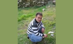 Ege'de bir işçi işyerinde iple asılı bulundu