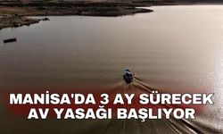 Manisa'da 3 ay sürecek av yasağı başlıyor