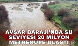 Avşar Barajı'nda su seviyesi 20 milyon metreküpe ulaştı