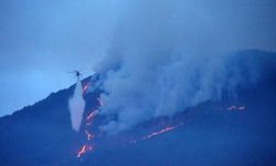 Güney Kore’de orman yangını: 200 futbol sahası büyüklüğünde alan küle döndü
