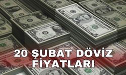 20 Şubat döviz fiyatları