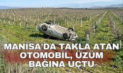 Manisa'da takla atan otomobil, üzüm bağına uçtu