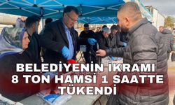 Belediyenin ikramı 8 ton hamsi 1 saatte tükendi