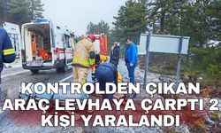 Kontrolden çıkan araç levhaya çarptı 2 kişi yaralandı