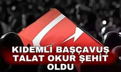Kıdemli Başçavuş Talat Okur şehit oldu