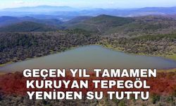Geçen yıl tamamen kuruyan Tepegöl yeniden su tuttu