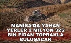 Manisa'da yanan yerlerde 2 milyon 325 bin fidan toprakla buluşacak