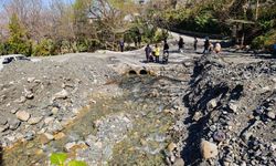 Mesir Tabiat Parkı'na ziyaretçi akını