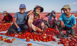 MUFSAD'ın fotoğraf yarışmasında Manisalı fotoğrafçılar damga vurdu
