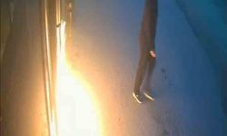 "Maaşları ödemedi" diye 2 işletmeyi benzin döküp yakmış