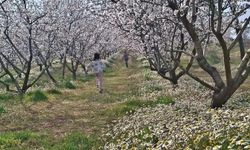 Sarıgöl’de kartpostallık manzara