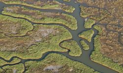 Gediz Nehri mercek altında