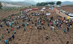 Orman Haftası’nda binlerce fidan toprakla buluştu