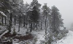 Demirci’nin yüksek kesimlerinde kar yağışı etkili oluyor