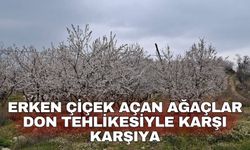 Erken çiçek açan ağaçlar don tehlikesiyle karşı karşıya
