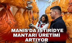 Manis’da istiridye mantarı üretimi artıyor