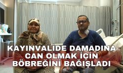 Kayınvalide damadına can olmak için böbreğini bağışladı
