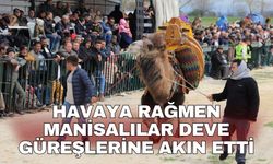 Havaya rağmen Manisalılar deve güreşlerine akın etti