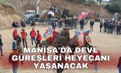 Manisa'da deve güreşleri heyecanı yaşanacak