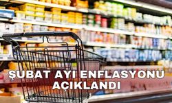 Şubat ayı enflasyonu açıklandı
