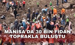 Manisa'da 30 bin fidan toprakla buluştu