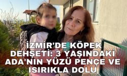 İzmir'de köpek dehşeti: 3 yaşındaki Ada'nın yüzü pençe ve ısırıkla dolu