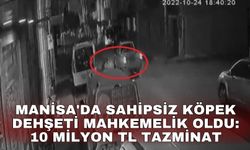 Manisa'da sahipsiz köpek dehşeti mahkemelik oldu: 10 milyon TL tazminat