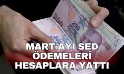Mart ayı SED ödemeleri hesaplara yattı