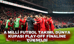 A Milli Futbol Takımı, Dünya Kupası play-off finaline yükseldi