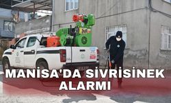 Manisa'da sivrisinek alarmı
