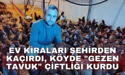 Ev kiraları şehirden kaçırdı, köyde "gezen tavuk" çiftliği kurdu