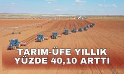 Tarım-ÜFE yıllık yüzde 40,10 arttı
