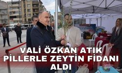 Vali Özkan atık pillerle zeytin fidanı aldı