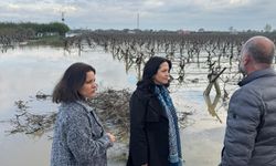 İYİ Partili Aytaç sel mağduru vatandaşları ziyaret etti