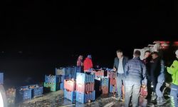 Kazada çevreye dağılan elmaları köy sakinleri topladı