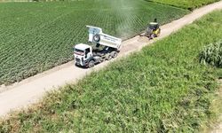 Şehzadelerin ova yollarında 6 aylık çalışma başlıyor