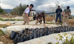 Liselilerden bölge tarımına büyük katkı