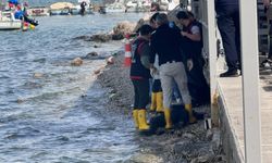 Muğla'da erkek cesedi bulundu