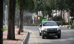 Manisa’da sineklere geçit yok