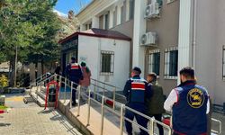 İntihar ettiği söylenen genç kadının cinayete kurban gittiği ortaya çıktı