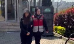 Köpeği camdan sarkıttı, o anları kayda aldı